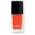 DIO DIOR VERNIS 323