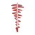 MULAC LIP PENCIL RED NUDE
